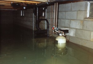 water damage seattle basement