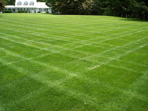 How To Choose A Spokane Landscaping Company Lump Gallery